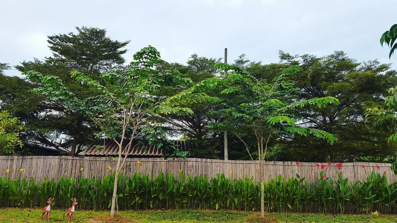 บ้านสวนมีดี ลำพูน Meedee Homestay Lamphun Ban Nong Pla Kho Zewnętrze zdjęcie