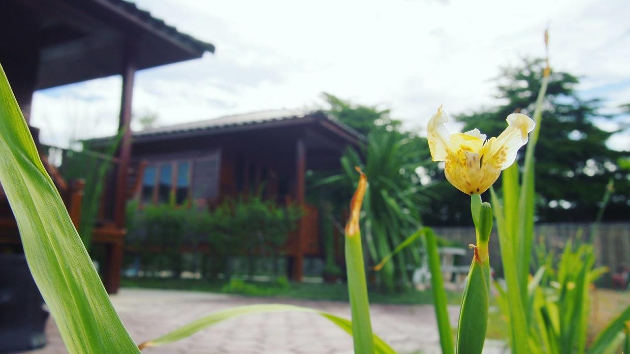 บ้านสวนมีดี ลำพูน Meedee Homestay Lamphun Ban Nong Pla Kho Zewnętrze zdjęcie