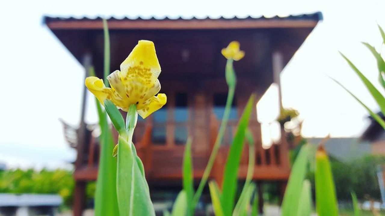 บ้านสวนมีดี ลำพูน Meedee Homestay Lamphun Ban Nong Pla Kho Zewnętrze zdjęcie