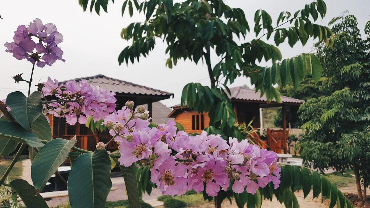 บ้านสวนมีดี ลำพูน Meedee Homestay Lamphun Ban Nong Pla Kho Zewnętrze zdjęcie