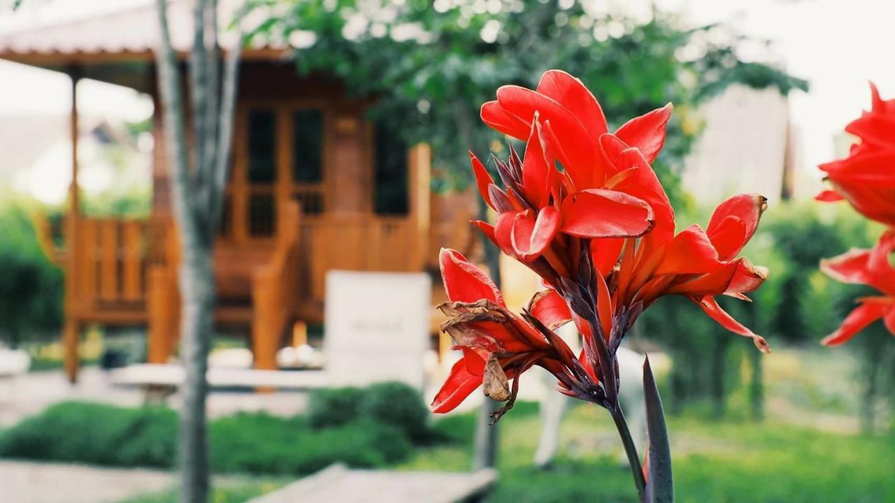 บ้านสวนมีดี ลำพูน Meedee Homestay Lamphun Ban Nong Pla Kho Zewnętrze zdjęcie